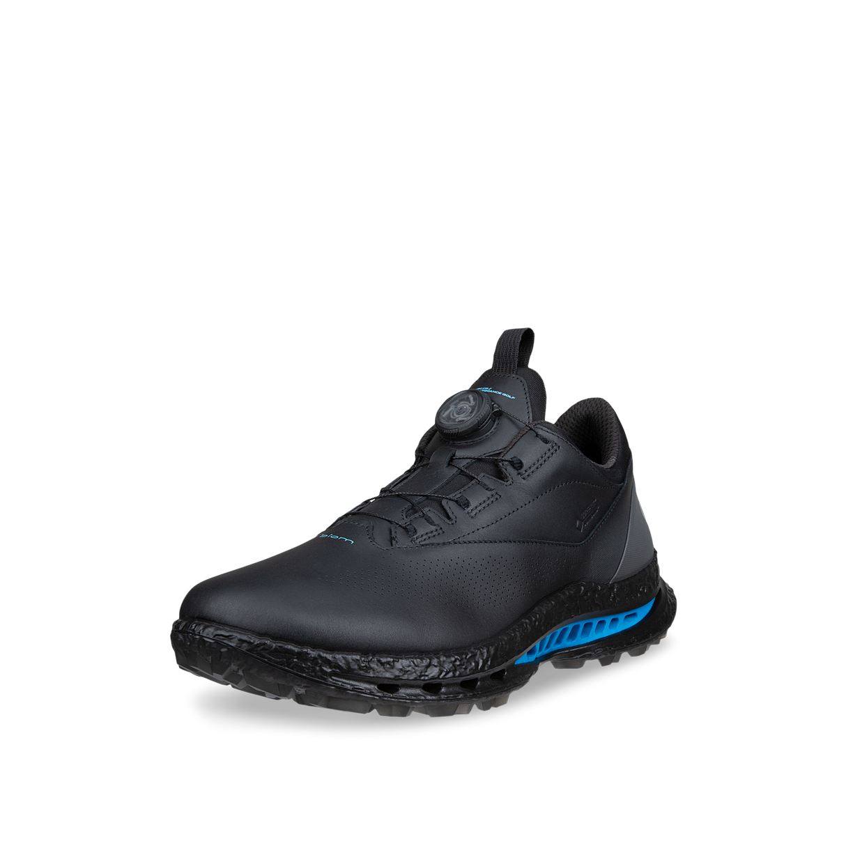 ECCO M Golf BIOM C5 BOA GTX