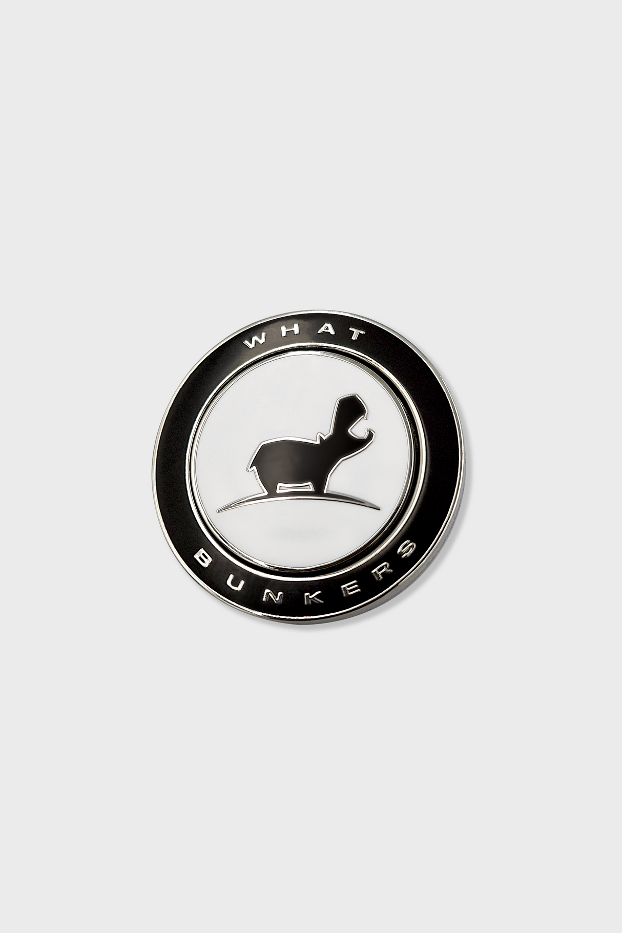 Magnetic coin with ball markers