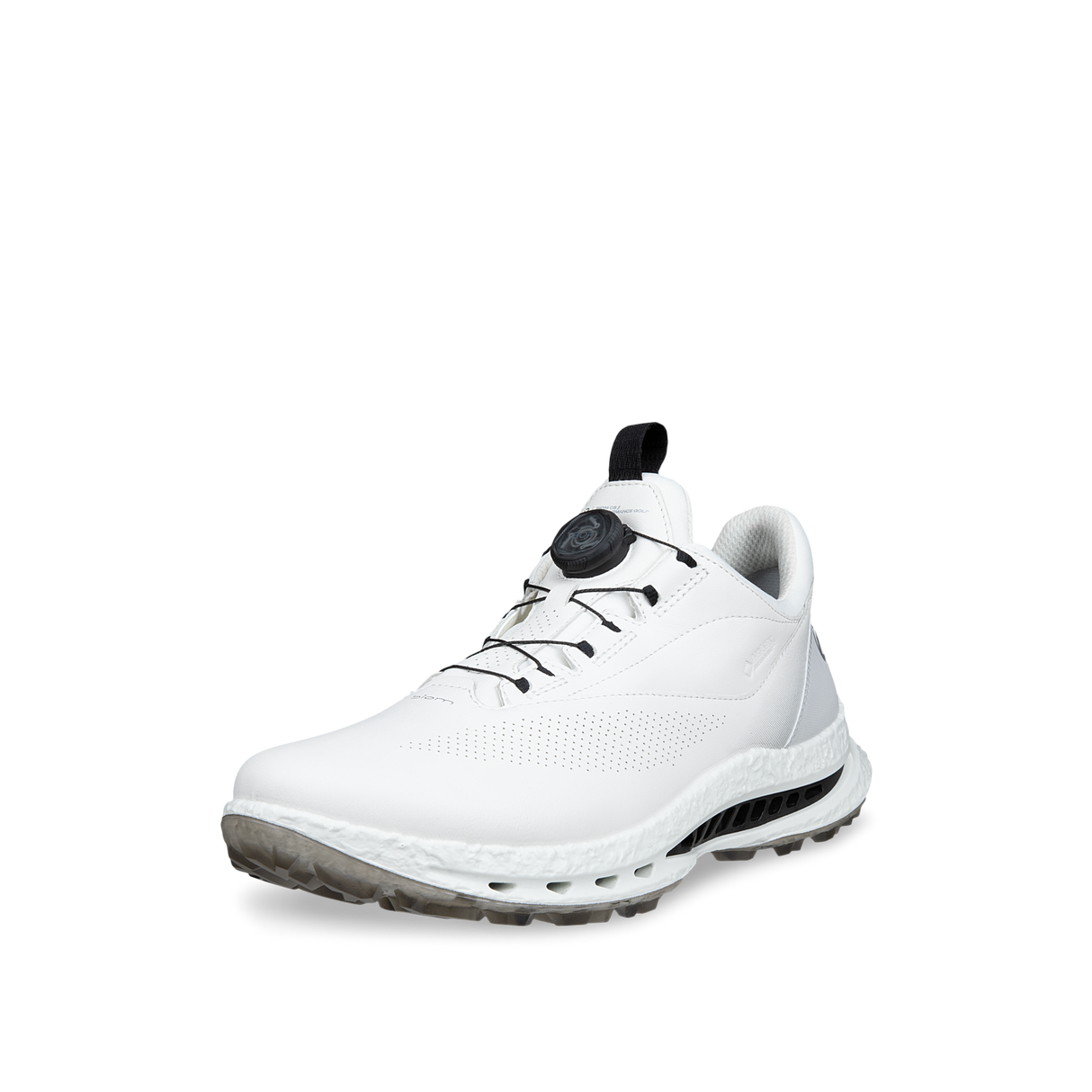ECCO M Golf BIOM C5 BOA GTX