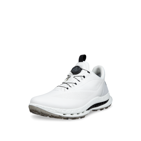 ECCO M Golf BIOM C5 BOA GTX