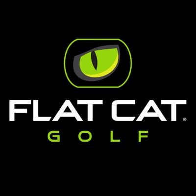 Flat Cat Ahead Elvogn