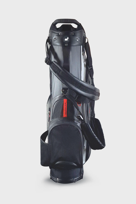 Kesha hybrid 6 div