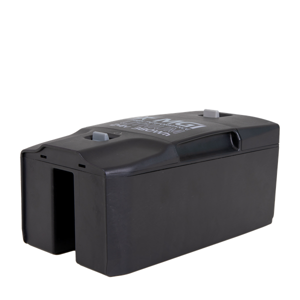 MGI Zip 250W Lithium Batteri